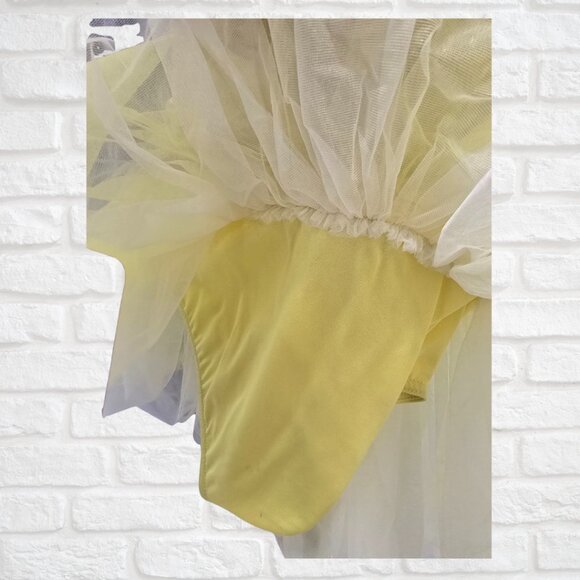 Yellow Ballet Recital Costume XS(4T)-Leotard with attached tutu & embellishments - Picture 4 of 7